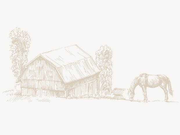obrazek domu i konia